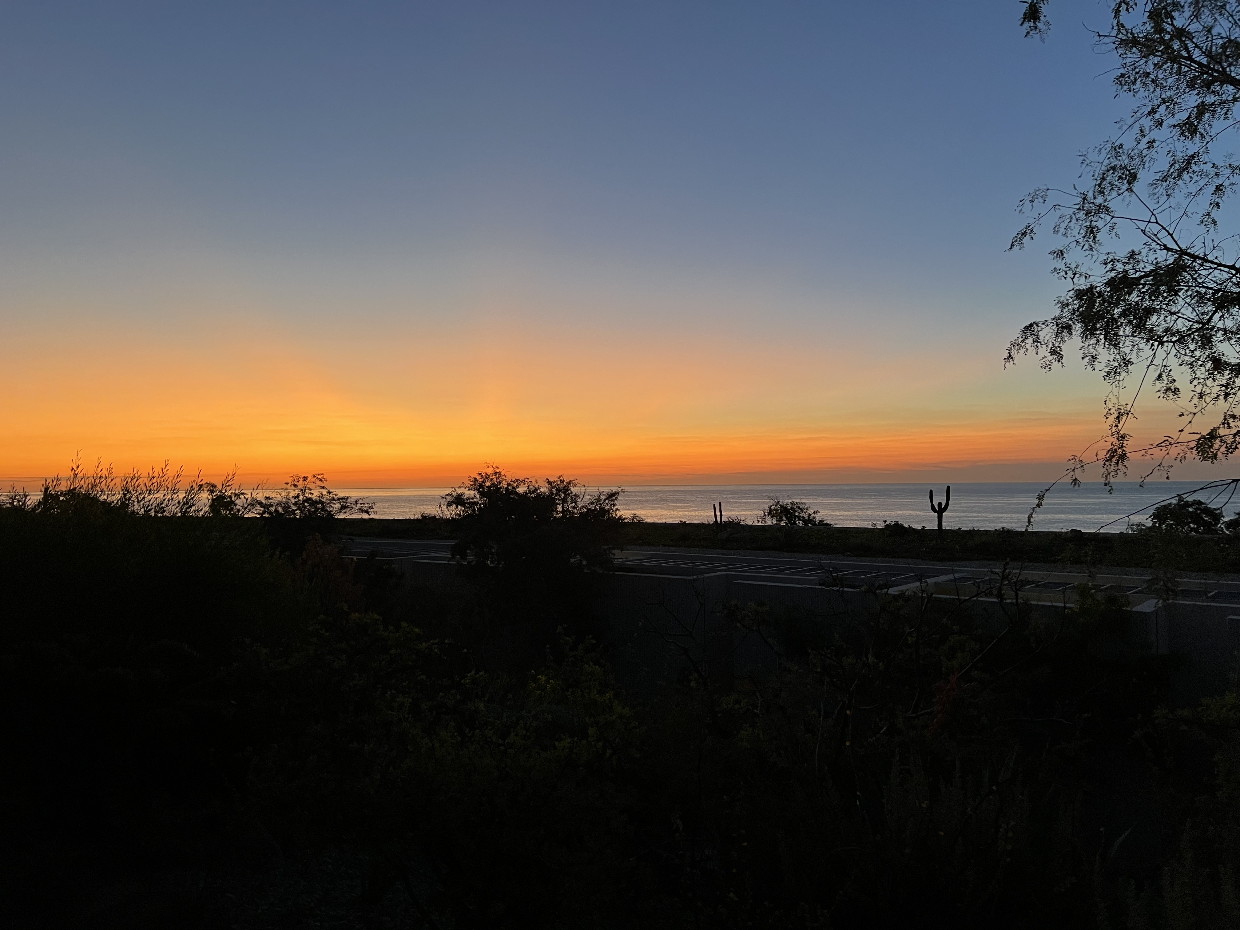 ./2024/13 - Cabo/IMG_4912.jpg